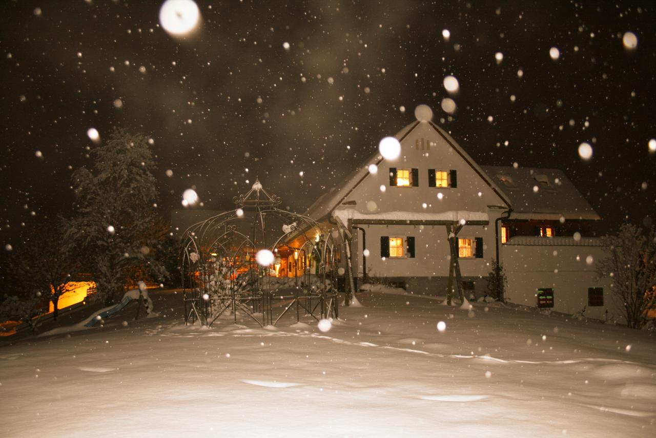 フェルトバッハSonnenhaus Grandlアパートメント エクステリア 写真